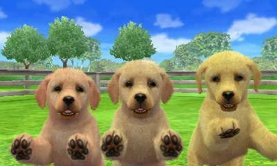 nintendogs ds labrador nintendogs ds labrador